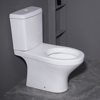 Modello in due pezzi fisso Graphic Desgin delle toilette 3D di Washdown