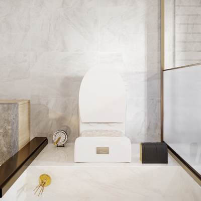 WC del bagno intorno a colore dorato ceramico sanitario della ciotola di toilette degli articoli