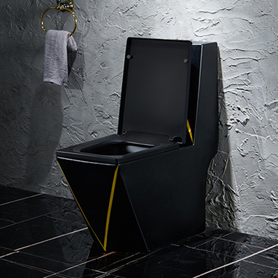 Progettazione di grafico sanitaria dell'oro del nero della toilette degli articoli di Washdown di un pezzo