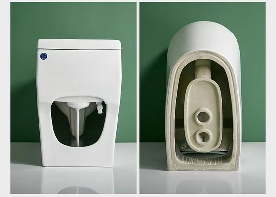 Progettazione fissa 3D della sciacquone sanitaria a livello doppia di un pezzo degli articoli
