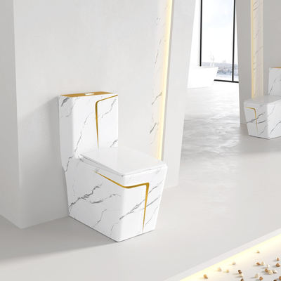 Quadrato di marmorizzazione standard americano di ADA Floor Standing Toilet Gold