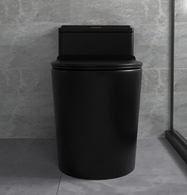 Insiemi ceramici del bagno di Flessinga Matte Black Toilet One Piece del sifone
