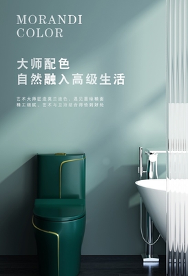 toilette sanitaria degli articoli 6L