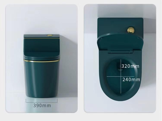 Carro armato variopinto di risparmio dell'acqua della toilette con sciacquone di un pezzo ceramica di Siphonic
