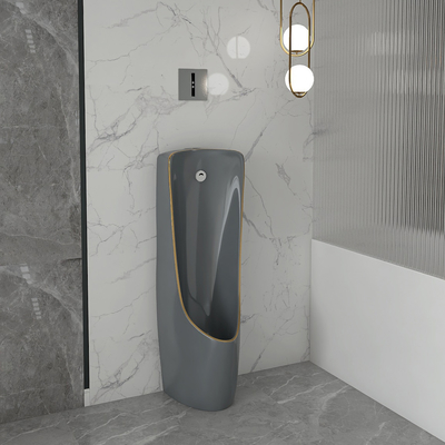 L'un pezzo solo indietro sarchia la ciotola fissata al muro Grey Gold Color dell'orinale