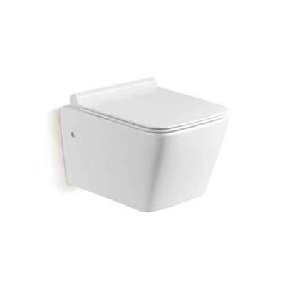 Parete senza orlo Hung Toilet Gravity Flushing del compatto bianco di colore