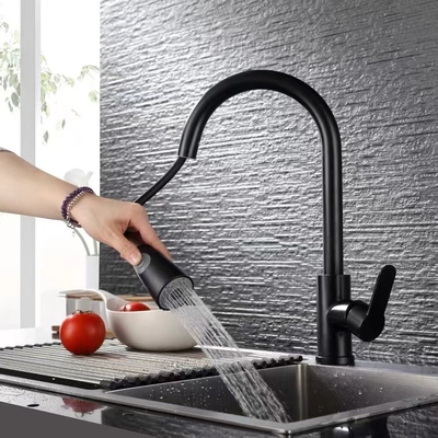 Estragga un rubinetto sanitario di 304 articoli caldo ed il rubinetto della cucina dell'acqua fredda