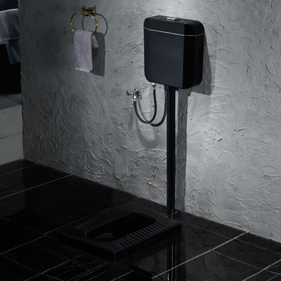 WC sanitario di Washdown degli articoli della toilette tozza ceramica di superficie nera di Satined