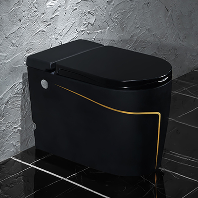 Articoli sanitari 615*360*455mm della toilette intelligente astuta nera di un pezzo