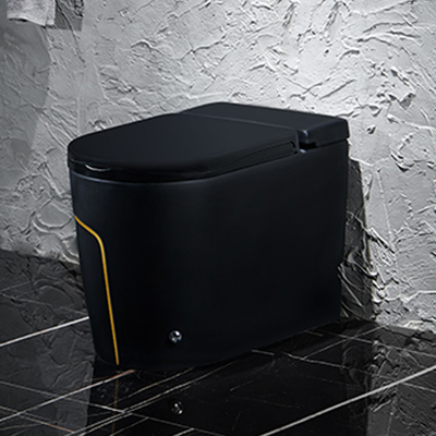 Articoli sanitari 615*360*455mm della toilette intelligente astuta nera di un pezzo