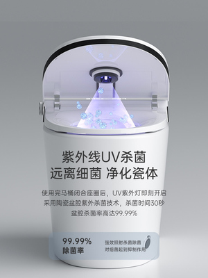 Lavaggio intelligente di auto dell'un pezzo solo astuto della toilette con sciacquone di Flessinga del sifone