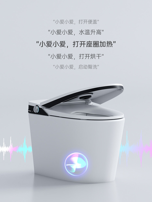 Lavaggio intelligente di auto dell'un pezzo solo astuto della toilette con sciacquone di Flessinga del sifone
