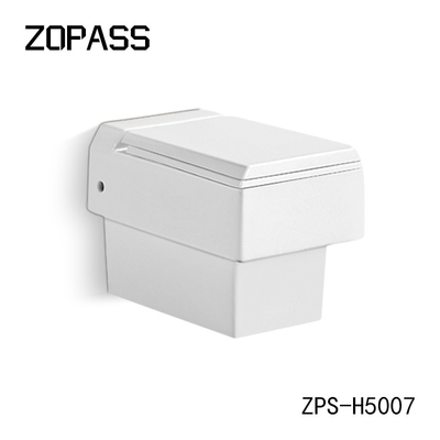 Parete senza orlo Hung Toilet Bowl One Piece della trappola bianca di P con il bidet