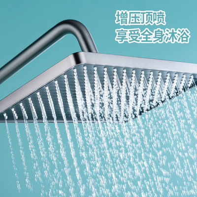 La testa di doccia annerita del bagno ha messo l'ottone lucidato con guida rettilinea