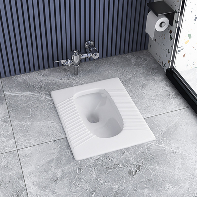 Gravità Flessinga Pan Sanitary Ware Water Closet occupante ceramico